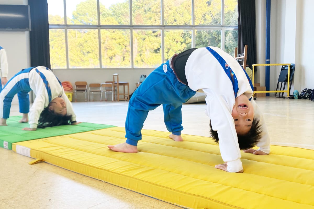 常設だからこそできる本格的な環境